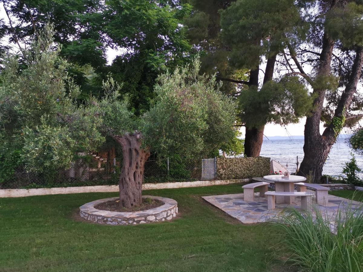 Ca' Del Mare 35M2 Villa Kalogria  Dış mekan fotoğraf