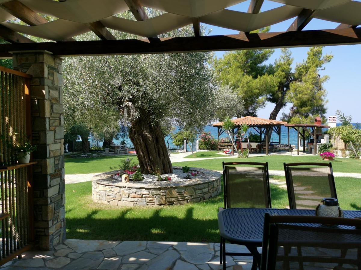 Ca' Del Mare 35M2 Villa Kalogria  Dış mekan fotoğraf